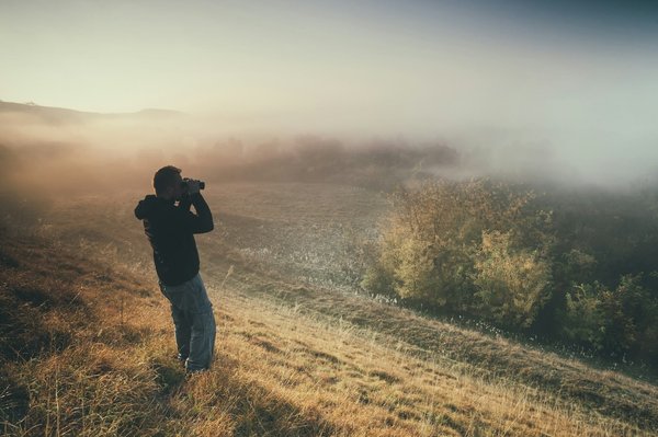 Où apprendre la photographie de la faune dans le parc national de Yellowstone, USA?