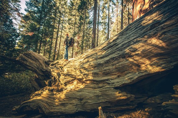 Comment choisir une location en Nouvelle-Zélande offrant des randonnées dans des parcs nationaux et des ateliers de photographie de paysage?